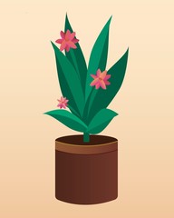 Plant with green leaves and pink flowers in a flowerpot with golden decoration