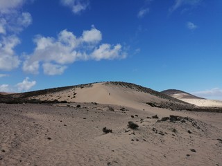 Sand Wüste trocken heiß