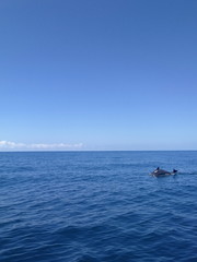 Deep blue sea horizon panorama