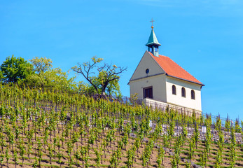 Fototapeta na wymiar chapel above a new planted vineyard