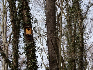 birdhouse in the forest