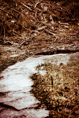 Winterwald mit Eiszapfen und Eisfall