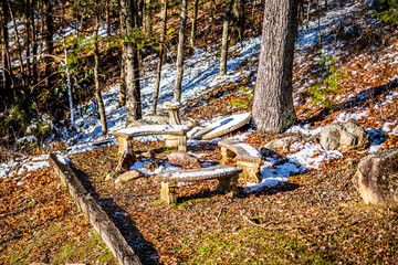 trees with snow on the ground