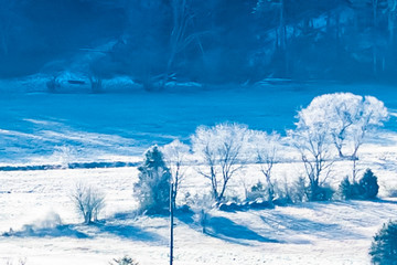 winter mountain landscape with trees and snow