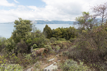 Fototapeta na wymiar Natural landscape in San Pedro island or Isla Grande, in Lake Tota