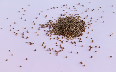 On a pink background buckwheat closeup, save the space