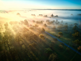 Nebliger Sonnenaufgang über Bäumen