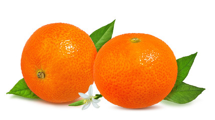 Fresh mandarins orange  with leaves and flower isolated on white background with clipping path