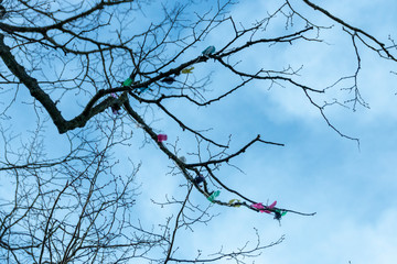 Balloons on A Tree