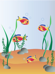 Fish on the seabed.