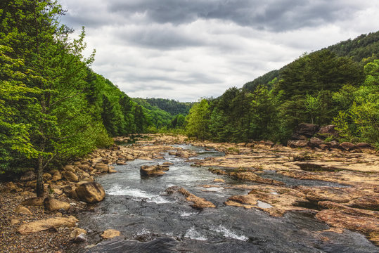 The Quiet River of Ocoee