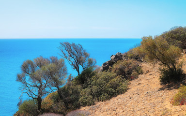 Fototapeta na wymiar Cliff at Capo Pecora resort and Mediterranean sea Sardinia