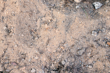 A dry ground, soil and sand with stones texture, background. Nature.