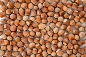 Hazelnuts lit by direct morning sun on display at grocery store. Full frame of box full of nuts, horizontal macro close-up.