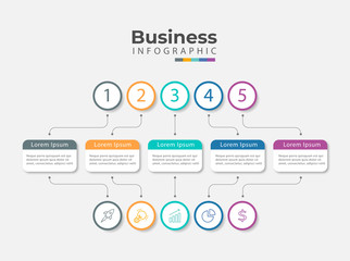 Timeline infographic modern 5 step
