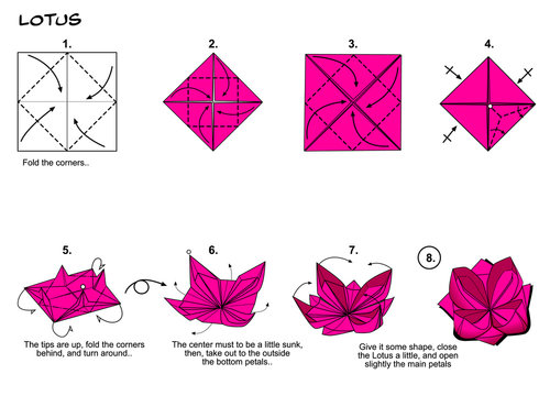 Origami lotus flower diagram paper folding steps