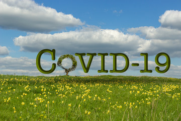 Blumenwiese Himmel Wolken. Baum als Symbol Coronavirus - COVID-19