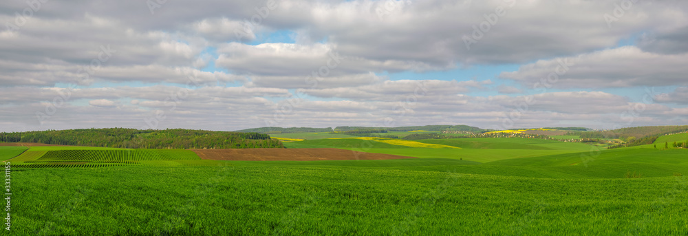 Wall mural Green field full of wheat and colorful slopes with cloudly sky