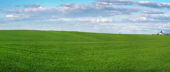 Spring panorama of hills with winter crops and sky