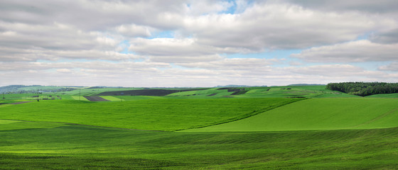 lines of the agricultural green fields at spring time
