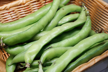 A closeup view of a basket full of fava beans, on display at a local farmers market.