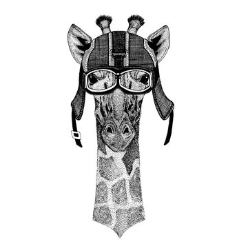 Camelopard, giraffe Hipster animal wearing motorycle helmet. Image for kindergarten children clothing, kids. T-shirt, tattoo, emblem, badge, logo, patch