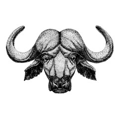 Buffalo, bull, ox. Wild animal for tattoo, nursery poster, children tee, clothing, posters, emblem, badge, logo, patch