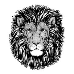 Lion. Wild animal for tattoo, nursery poster, children tee, clothing, posters, emblem, badge, logo, patch