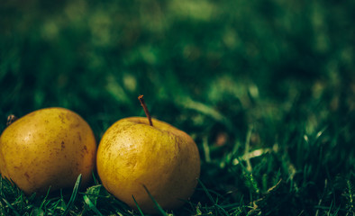 apple on the grass