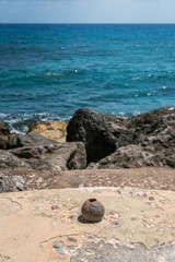 coconut at caribbean sea seascape