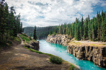Miles Canyon in Yukon territory is scenic trail for hiking through the pine forests of Canadian...