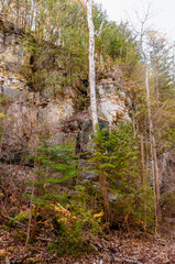 High dolomite bluffs on the Niagara Escarpment, Pottawatomi State Park, Door County, WI.