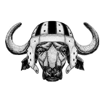 Buffalo, bison, bull. Portrait of animal wearing rugby helmet