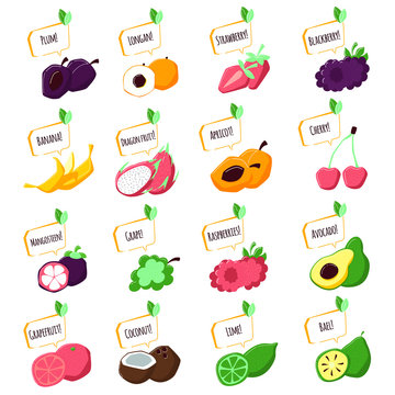 Set of cartoon fruits with tags and names. Flat illustration on isolated background