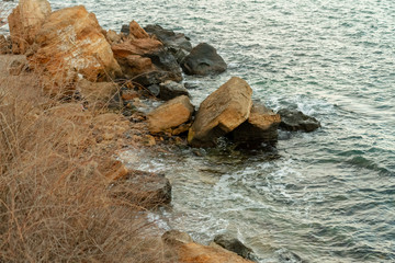 sea stones rocks gulls waves sunny weather