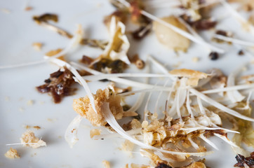 Dry fish bones and other parts after meal on a white plate. Macro shot from angle