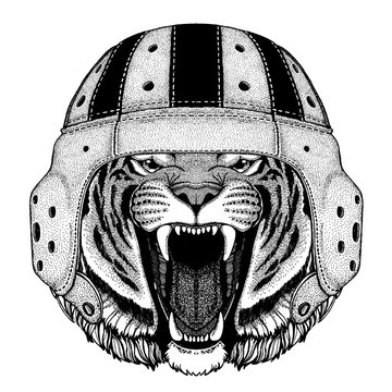 Tiger. Portrait of animal wearing rugby helmet