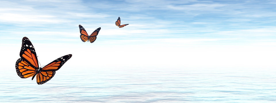 Butterflies flying to the horizon upon the ocean - 3D render