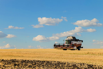 Combine harvester in the field during the harvest