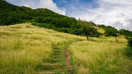 road in the mountains