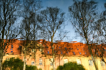 Fototapety na wymiar - Fototapeta24.pl