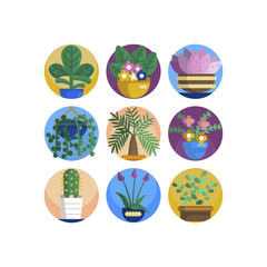 Plant in flower pot icon. Line, solid and filled outline colorful version, outline and filled vector sign. Home plant symbol, logo illustration. Different style icons set. Pixel perfect vector