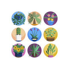 Plant in flower pot icon. Line, solid and filled outline colorful version, outline and filled vector sign. Home plant symbol, logo illustration. Different style icons set. Pixel perfect vector