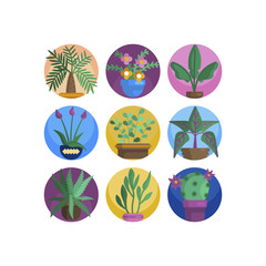 Plant in flower pot icon. Line, solid and filled outline colorful version, outline and filled vector sign. Home plant symbol, logo illustration. Different style icons set. Pixel perfect vector