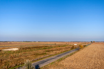 Fototapeta premium Autumn road on the Great Hungarian Plain