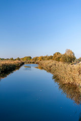Danube channel and common reed in the Hungarian countryside.