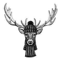Deer Cool animal wearing knitted winter hat. Warm headdress beanie Christmas cap for tattoo, t-shirt, emblem, badge, logo, patch