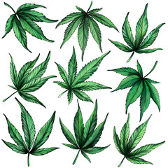 marijuana leaves cannabis. A set of cannabis isolated on a white background. 9 elements.