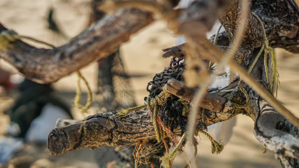 Hängematte an Baum am Strand
