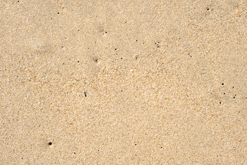 Smooth Sand Texture from a Local Beach